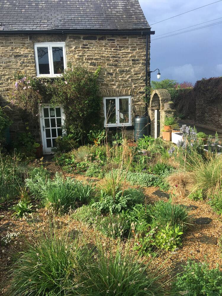 fran's cottage garden in early spring