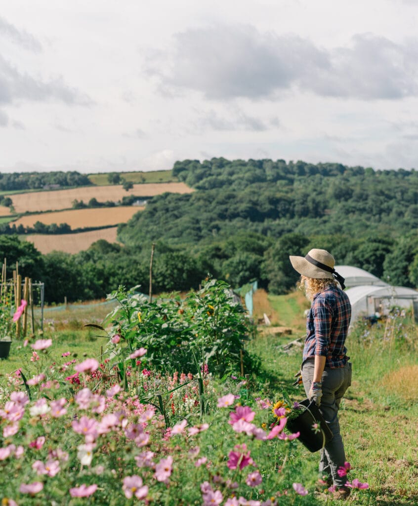 Growing Sheffield's wedding flowers