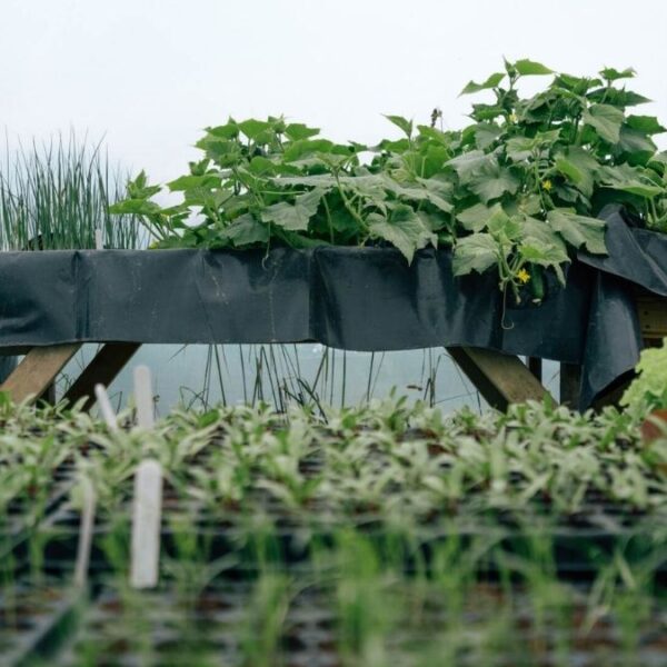 environmental benefits of organic